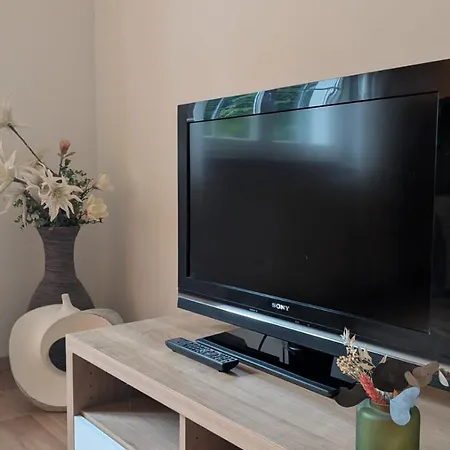 Appartement Elbglueck